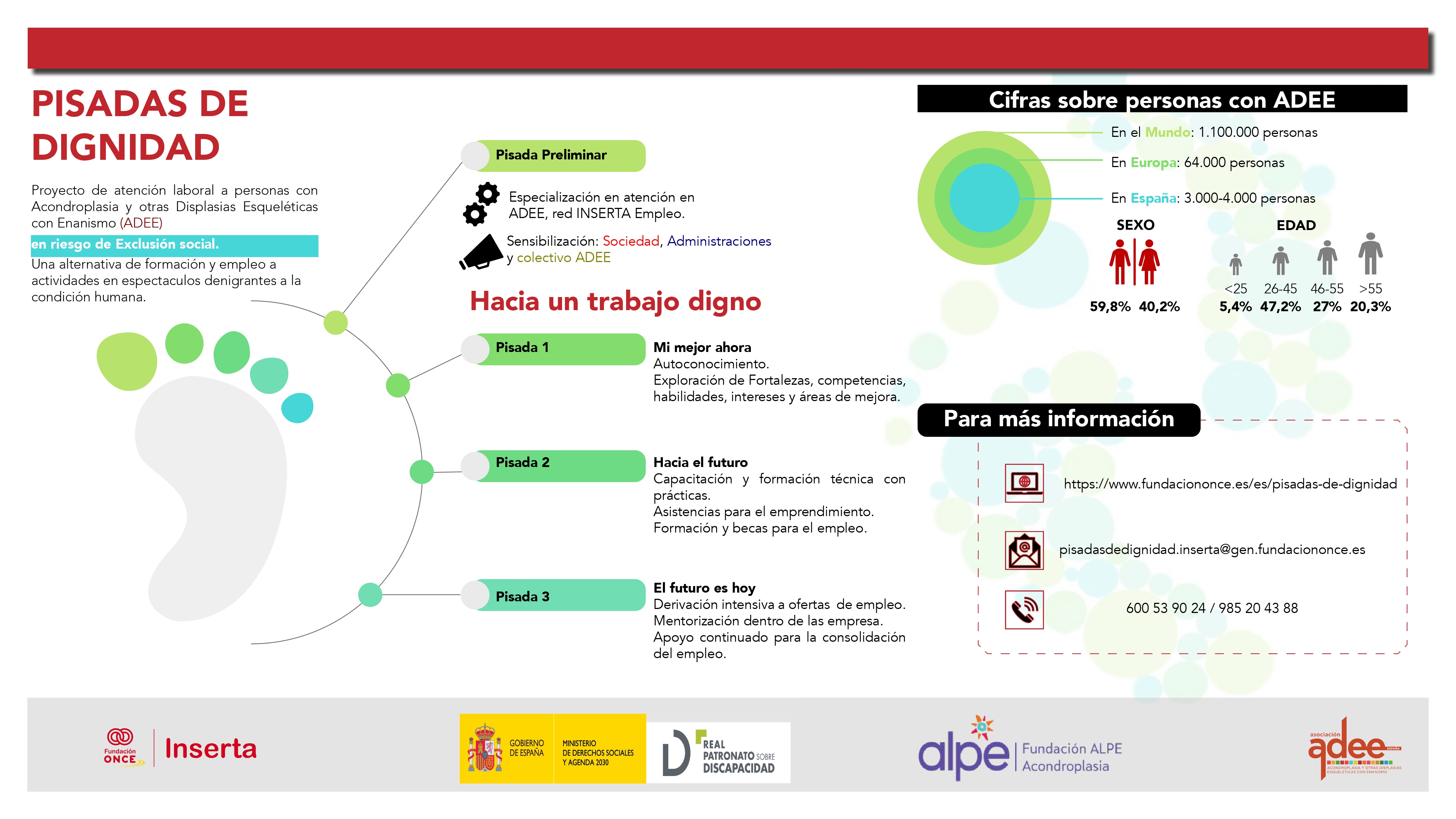 Infografía con datos del proyecto