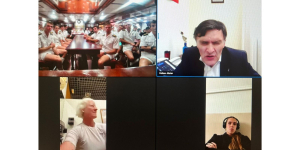 Captura de la videoconferencia