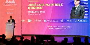 Foto de la intervención del director general de Fundación ONCE