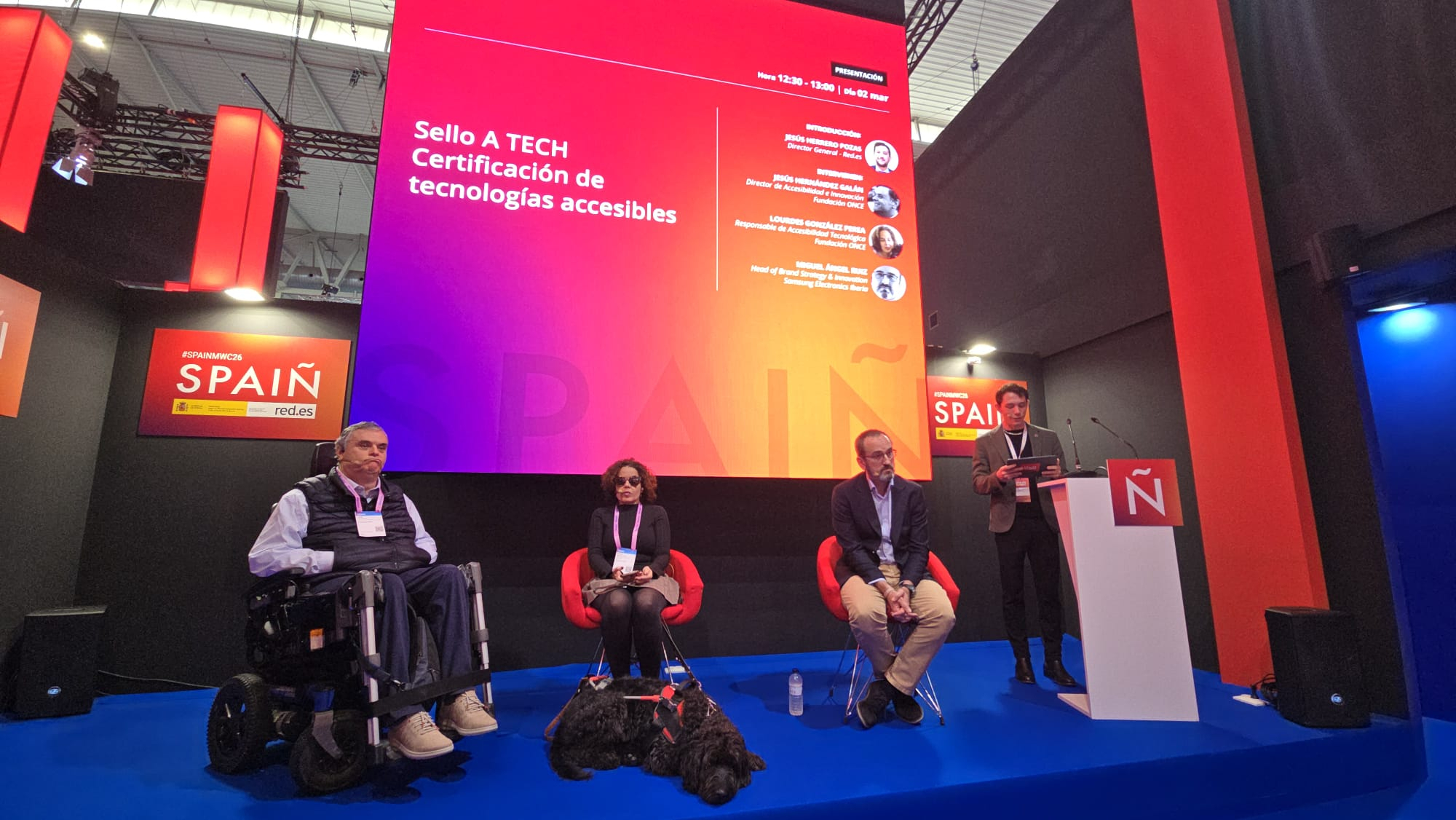 Foto de la intervención de Fundación ONCE