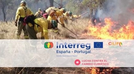 Foto en la que se a bomberos forestales apagar un incendio