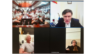 Captura de la videoconferencia