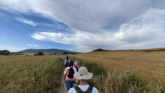 Foto de un Camino Natural