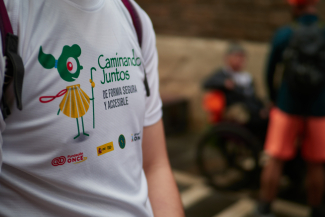 Foto de la imagen del proyecto 'Camino de Santiago accesible'