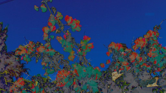 Imagen del documental de María Ruido