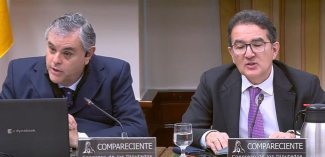 Foto comparecencia ONCE y F.ONCE en el Congreso