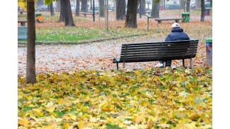 Fotografía de una persona sola sentada en un banco del parque