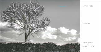 Foto de una de las obras