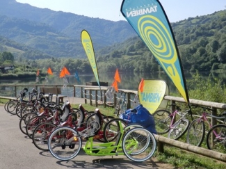 Conjunto de bicicletas en enclave natural