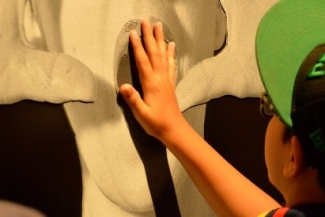 Foto de un niño tocando la obra