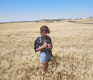 Foto de Paloma en un trigal