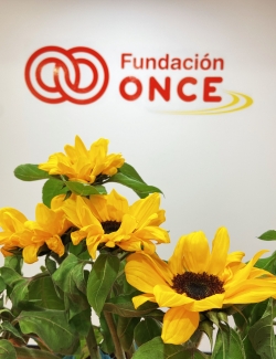Fotografía de los girasoles entregados a los trabajadores en Fundación ONCE