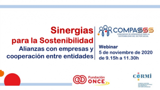 cartela anunciando el webinar de Fundación ONCE y CERMI