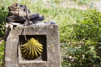 Imagen de una concha del Camino de Santiago